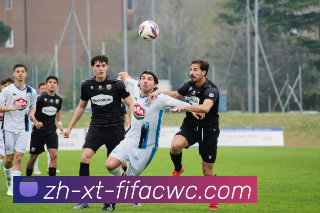 世界杯在线观看服务体系